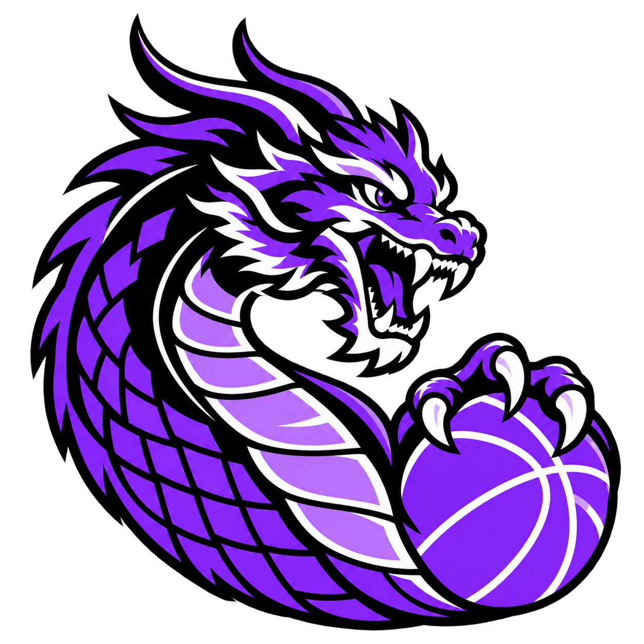 HWI HOOPS 队徽